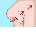 NOSTRIL GANG