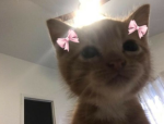 Mᴢᴜʀɪ'sᴀɴᴀ