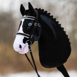 Horse girls (boys too) <3