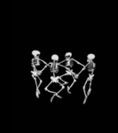 Sh4ds group