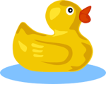 Duck group fans