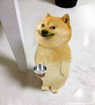犬派の集い