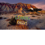 Cleaning Eagles!
