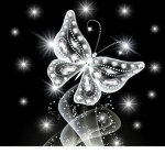 Sugar Butterfly