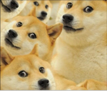 DogeNation (DN)