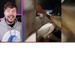 Ace yt yeet