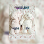 Lenis Dinonuggets