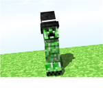 The Minecraft Group!