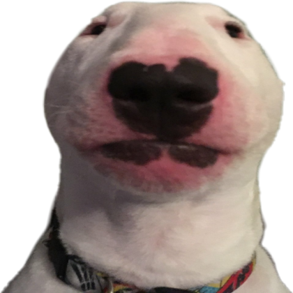 dog Roblox decal