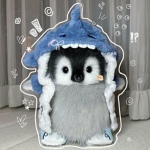 Vallzz butterfly’s