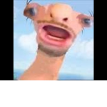 Chill Sloth Squad