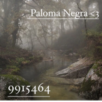 Paloma Negra <3