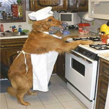 dog chef Roblox decal