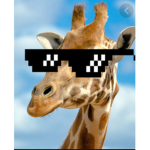 Giraffe are the best!