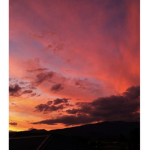 Sunset game zz fan group