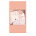 The Sleepy Cats remix