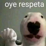 Gona fans