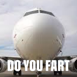 The bruh plane