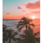 Sunset Paradise!!