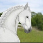 Thunder Rose Stables (Out dated)