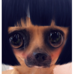 sammy213