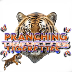 The Dancing Prancing Tigerettes