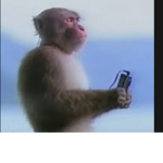 Monke gang of banana