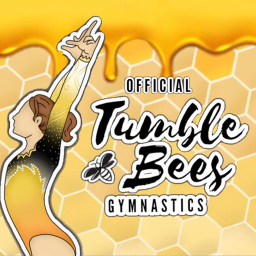 GYM Tumblees Gymnastics | Main Gym V3
