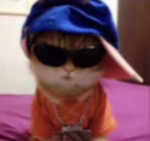 Bellawatxh