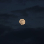 vintage moons
