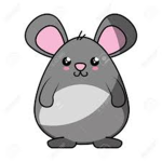 AAM Rats