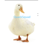 QuackSquad :)