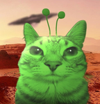 Electicat
