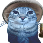 smurf cat inc