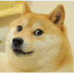 doge's epic group (ok)
