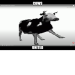 COWS TOGETHER FOREVER