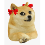 Doge Subjects