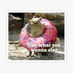 The CaPyBaRaS >:D
