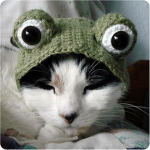 <3 Frog Squad