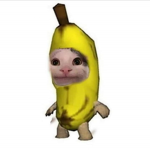 Amigos xD Hola Que Hacen xD