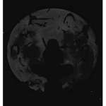 The dark group paladin