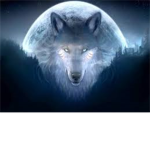 Wolf Sister's