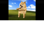 THE DOGES ARE REAL