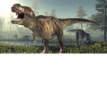 Dino Sim skin buying thing xD