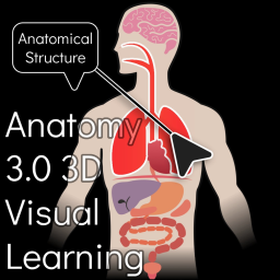 Anatomy 3.0 Visual Learning 3D icon