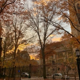 ˚ · 🍂⭒˚｡⋆ .˚