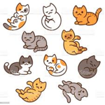 Kitty_clan112