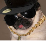 I do ROBUX