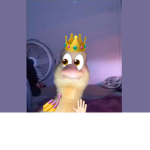 Ducks_team