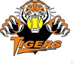 Diva Tigers Softball Team